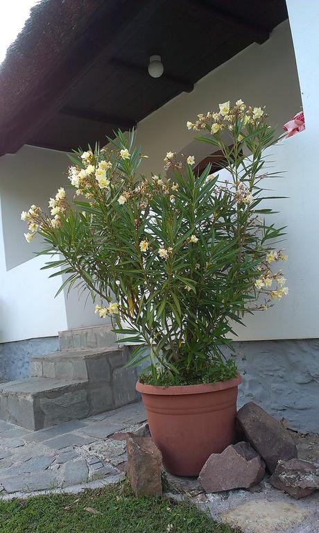 Country House Balaton Paloznak Extérieur photo